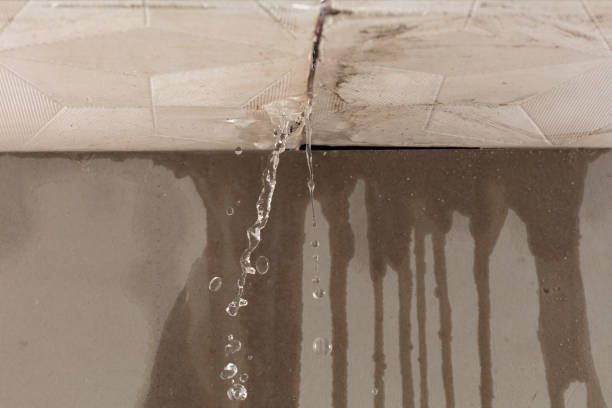 Professional Flood Damage Cleanup technician working in Meadow Bridge, WV